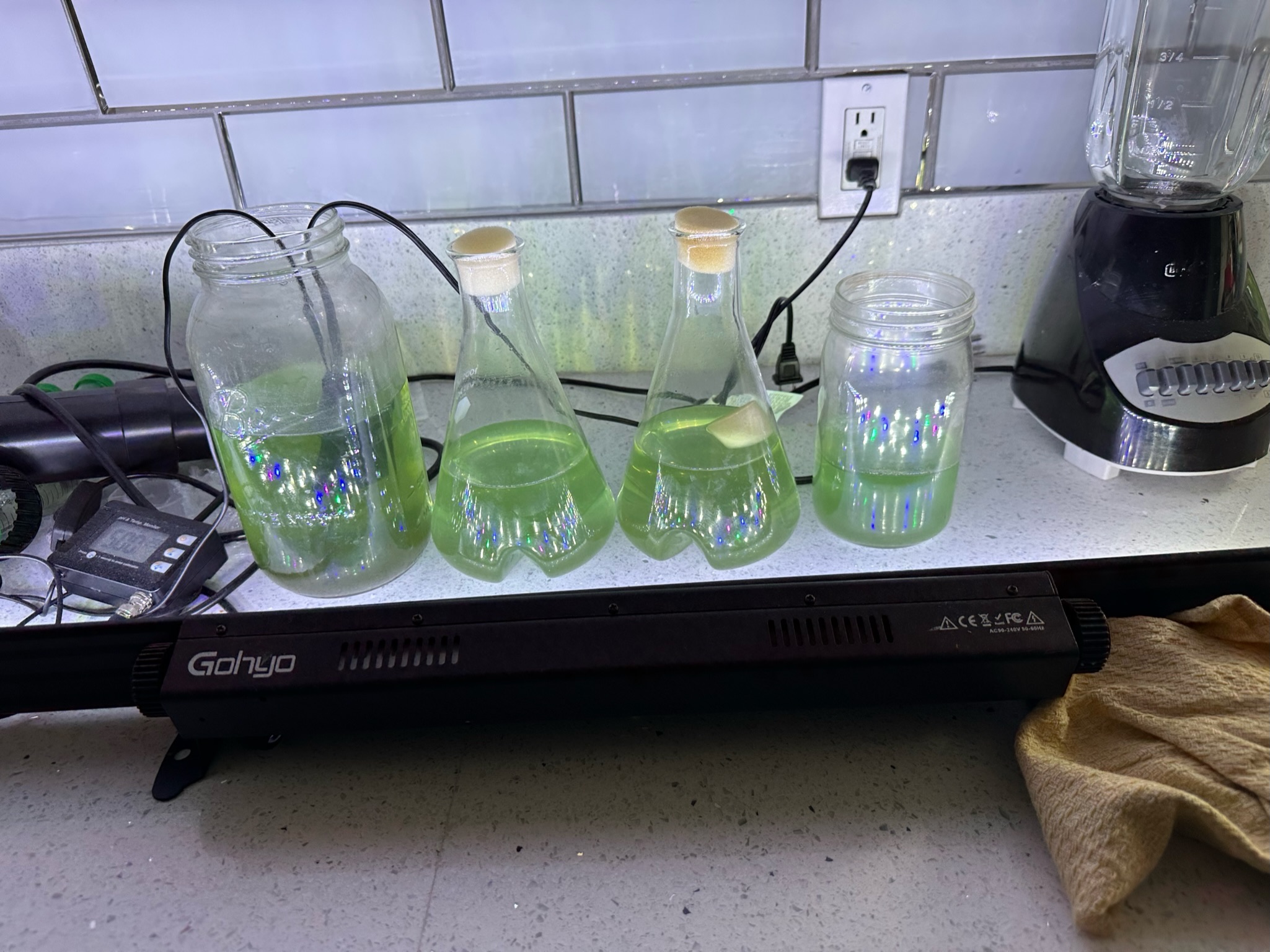 Algae Samples
